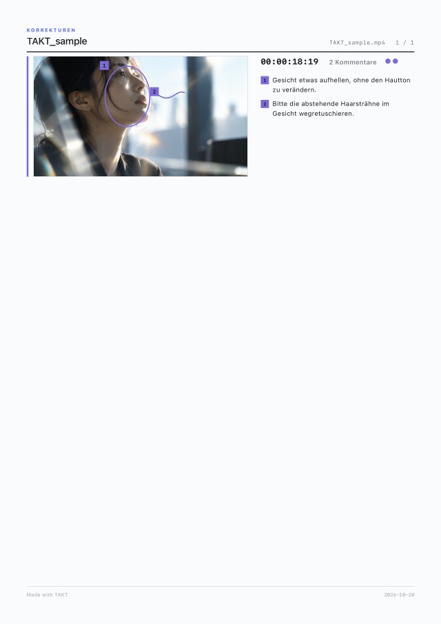 Seite 1 des PDFs, nur mit den Kommentaren der Farbe „Cast“